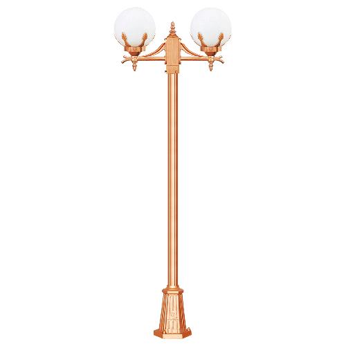 ǰ̹